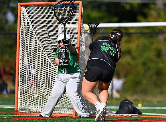 Shamrocks03820