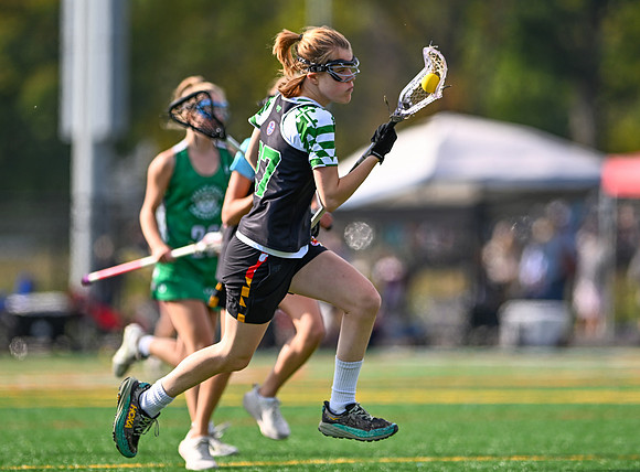 Shamrocks03823