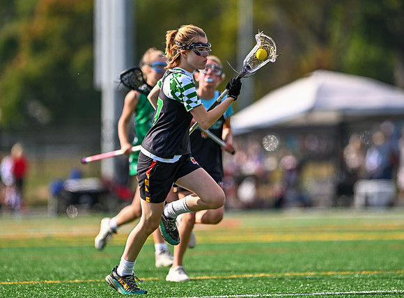 Shamrocks03822