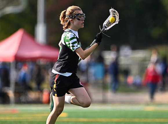 Shamrocks03825