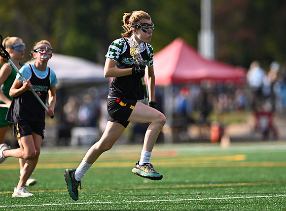 Shamrocks03824