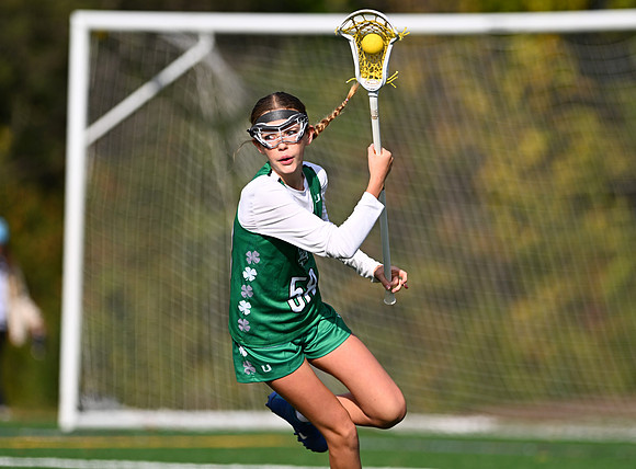 Shamrocks03826