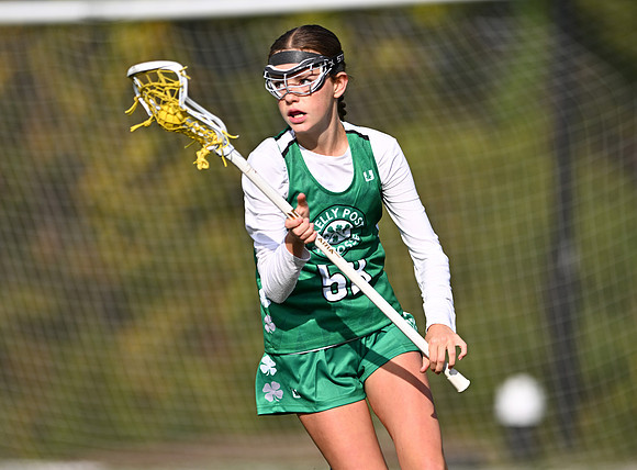 Shamrocks03828