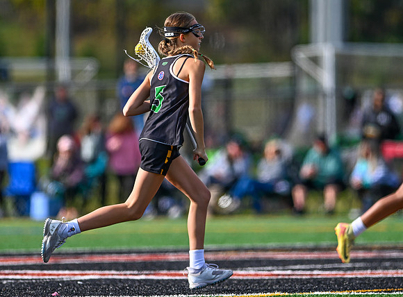 Shamrocks03831
