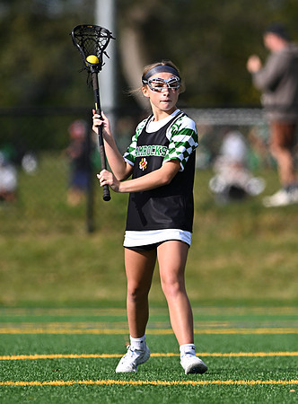Shamrocks03834