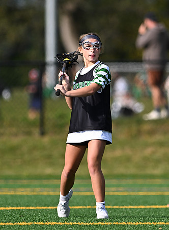 Shamrocks03835