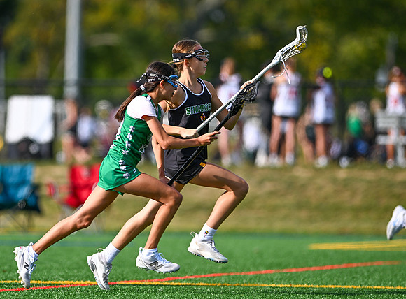 Shamrocks03833