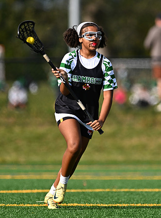 Shamrocks03838