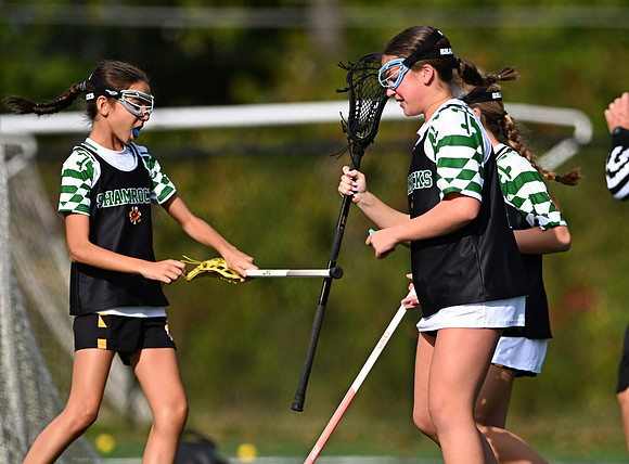 Shamrocks03845