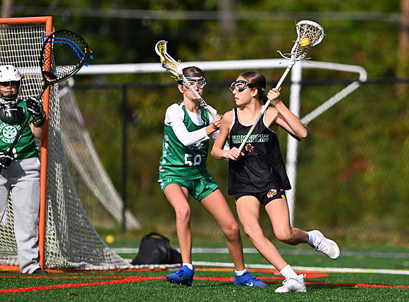 Shamrocks03843