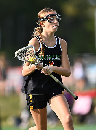 Shamrocks03847