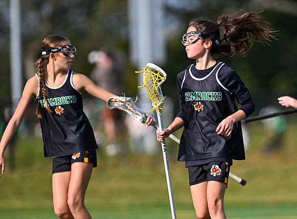 Shamrocks03846