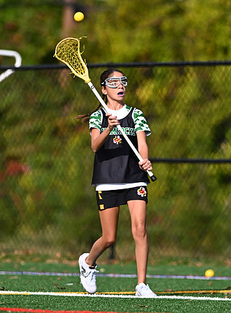 Shamrocks03850