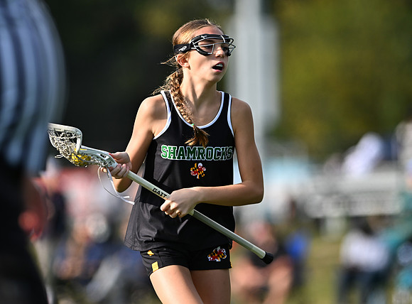 Shamrocks03848