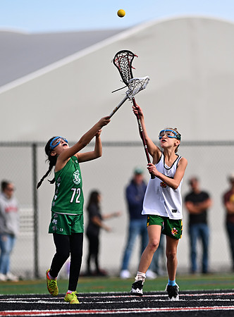 Shamrocks03858