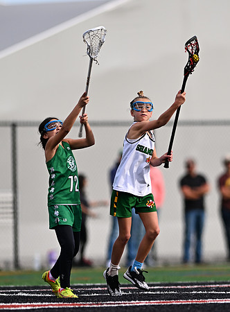 Shamrocks03859