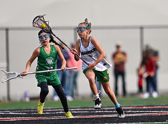 Shamrocks03860