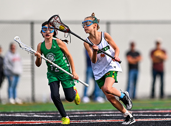 Shamrocks03861
