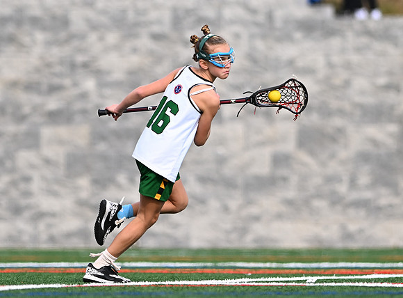 Shamrocks03863