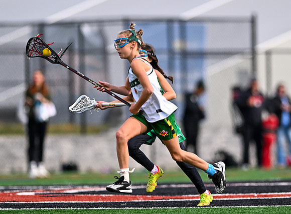 Shamrocks03862