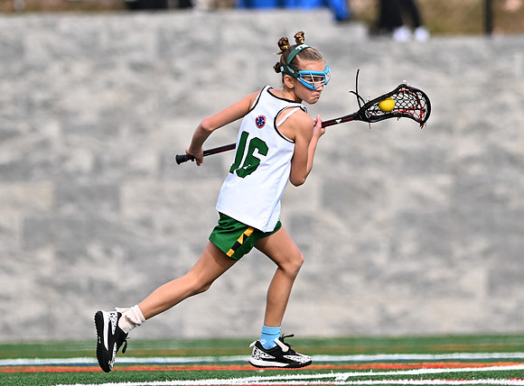 Shamrocks03864