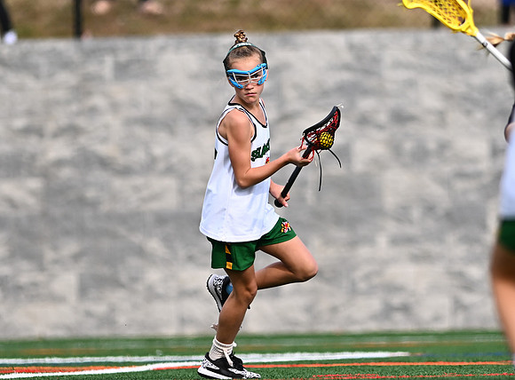 Shamrocks03865