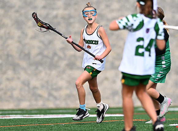Shamrocks03866