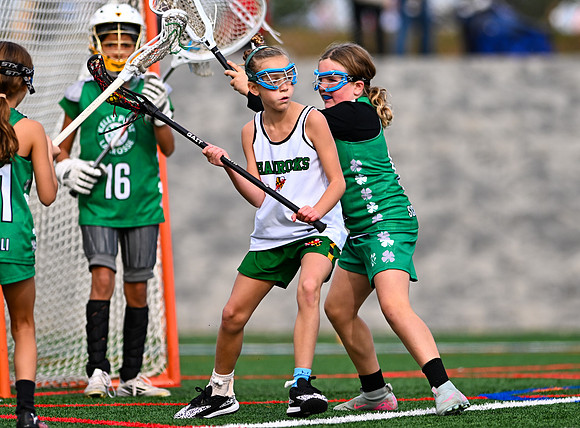 Shamrocks03867
