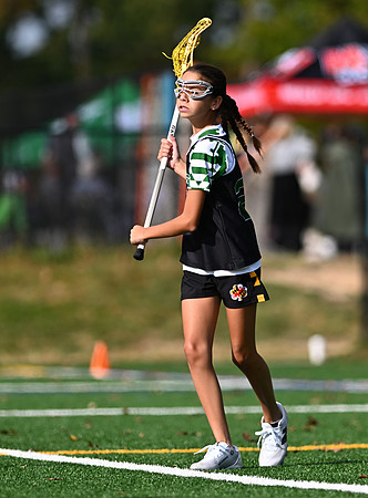 Shamrocks03852