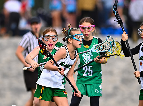 Shamrocks03869