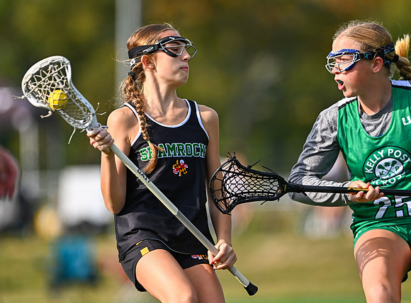 Shamrocks03849