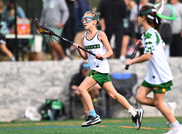 Shamrocks03871