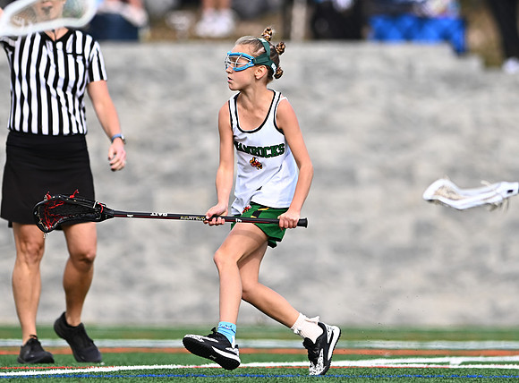 Shamrocks03870
