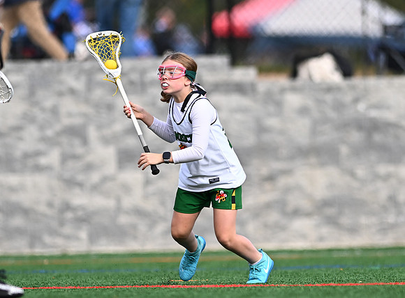 Shamrocks03873