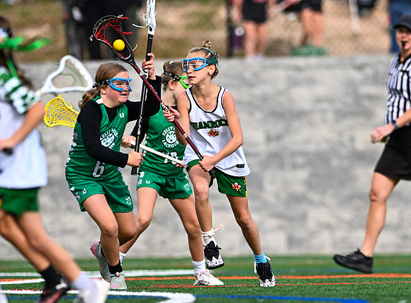 Shamrocks03872
