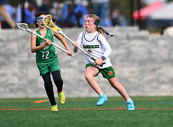 Shamrocks03874