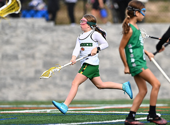 Shamrocks03875