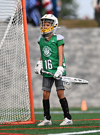 Shamrocks03876