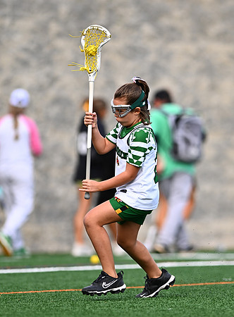 Shamrocks03877