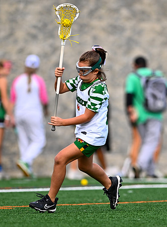 Shamrocks03878