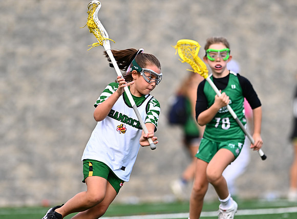 Shamrocks03880