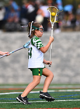 Shamrocks03882