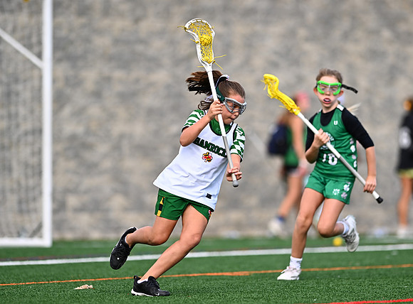 Shamrocks03879