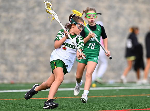 Shamrocks03881