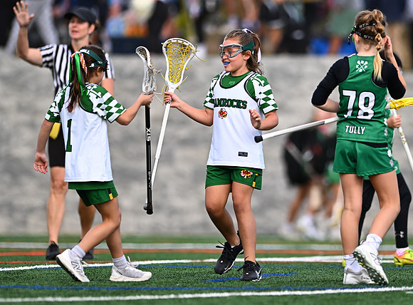 Shamrocks03883