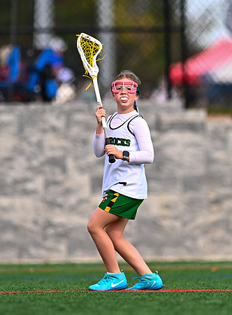 Shamrocks03886