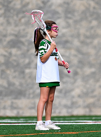 Shamrocks03887