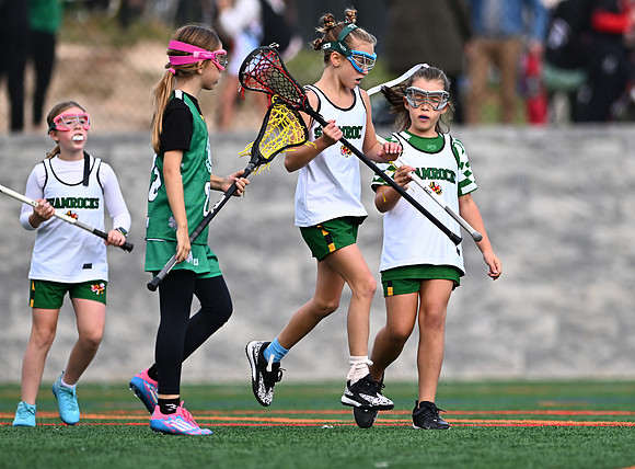 Shamrocks03885
