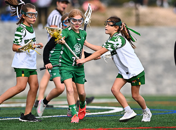 Shamrocks03889