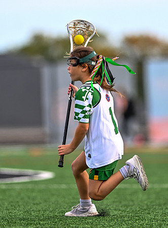 Shamrocks03894